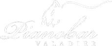 Piano Bar Valadier